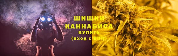 дживик Бронницы