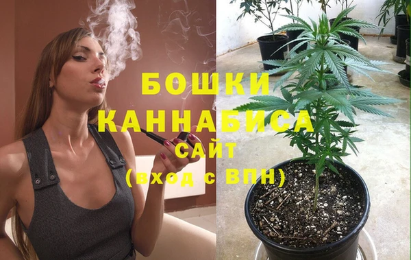 спайс Бородино