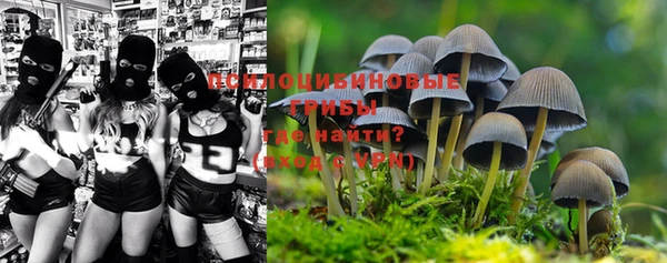 спайс Бородино