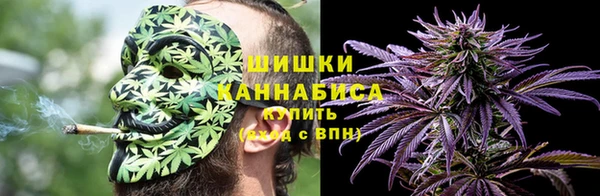 дживик Бронницы