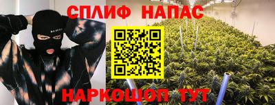 скорость Дубна