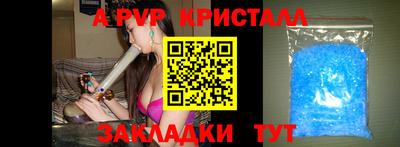 ECSTASY Донской