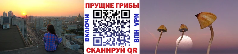 блэк спрут ONION Черкесск Псилоцибиновые грибы ЛСД
