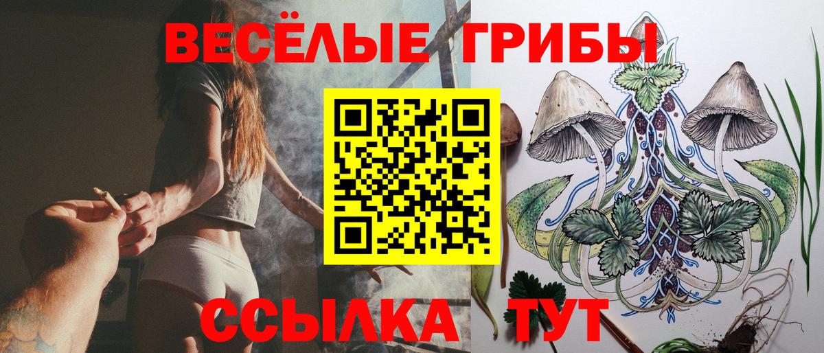 Черкесск  Псилоцибиновые грибы прущие грибы  Вход с VPN 